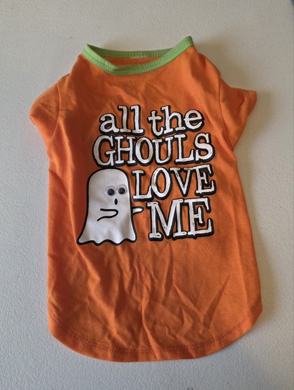 Dog Orange Halloween Ghost Graphic Tee